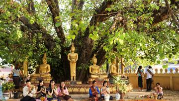 Cultures laotiennes