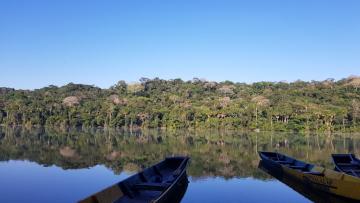 Amazonie Bolivienne : Chalalan