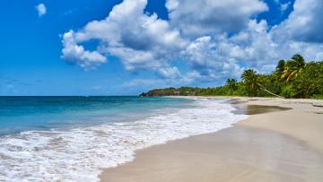 Madinina : La Martinique Authentique