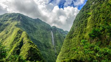 La Réunion Nature