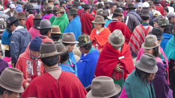 Contrastes d'Equateur