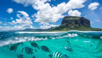 Croisière Le Morne Dream