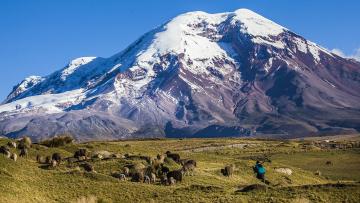 Au coeur de l'Equateur