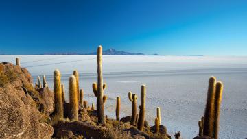 Blancheur des Andes