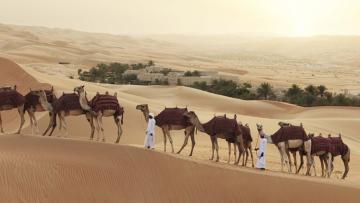 A la découverte d'Abu Dhabi