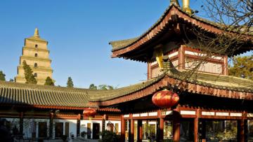 Tang Dynasty Art Garden