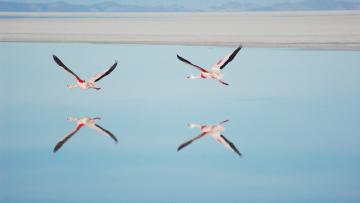 D'Atacama au Salar d'Uyuni