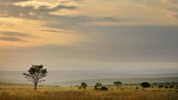 Makweti Safari Lodge