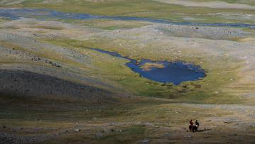 Incroyable Mongolie