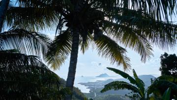 Lune de miel aux Caraïbes