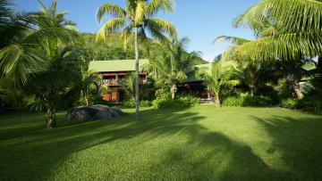 Paradise Sun