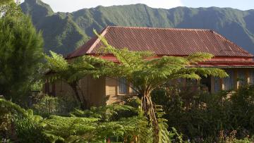 Excursions & Randonnées à la Réunion