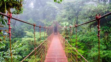 Couleurs du Costa Rica