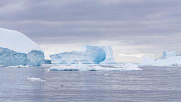 Exploris One – Objectif 66°33‘’ : l’Antarctique du cercle polaire